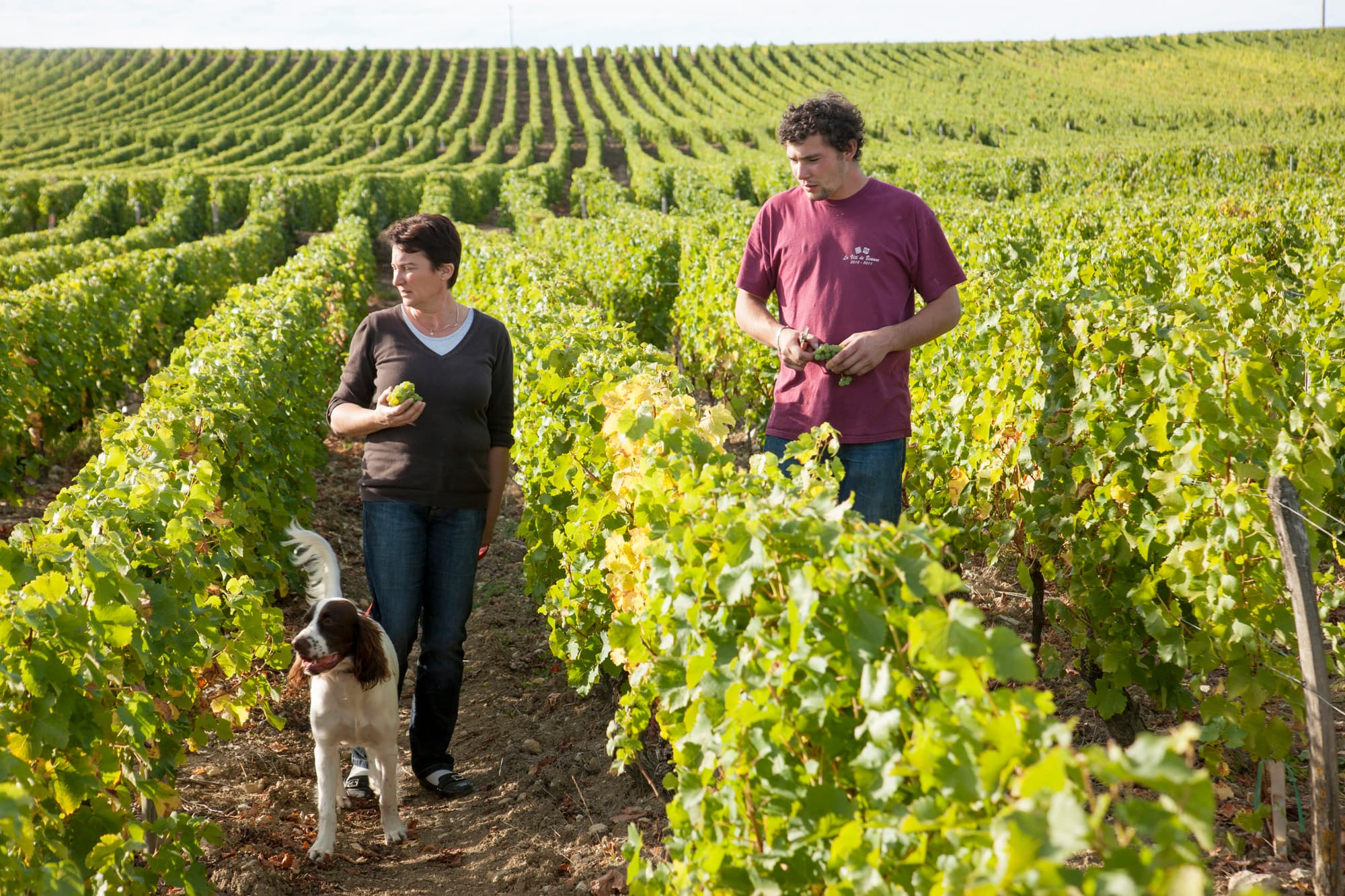 Domaine-Pastou