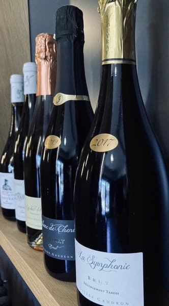 Domaine Sylvain Gaudron vins