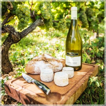 Domaine Sylvie et Joel Cirotte