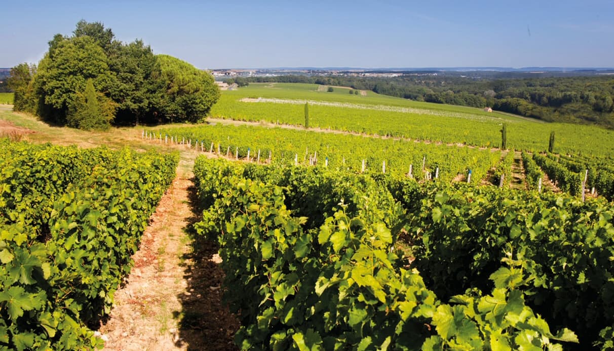 Domaine-de-Rome