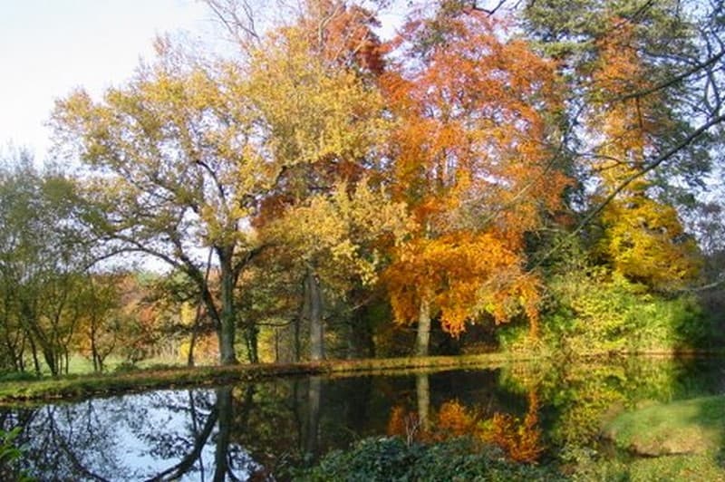 Domaine du ciran 3