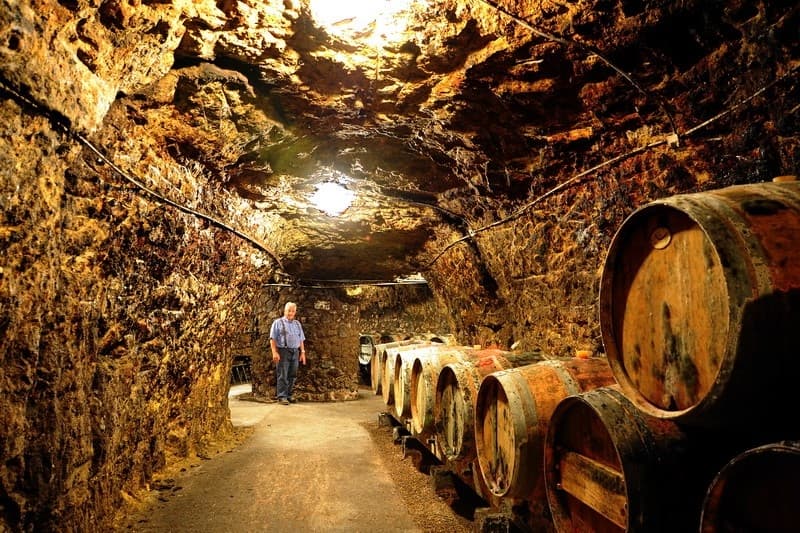 Dozonnerie cave - Chinon