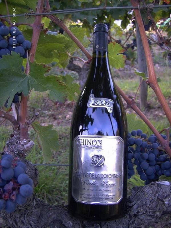 Dozonnerie magnum - Chinon