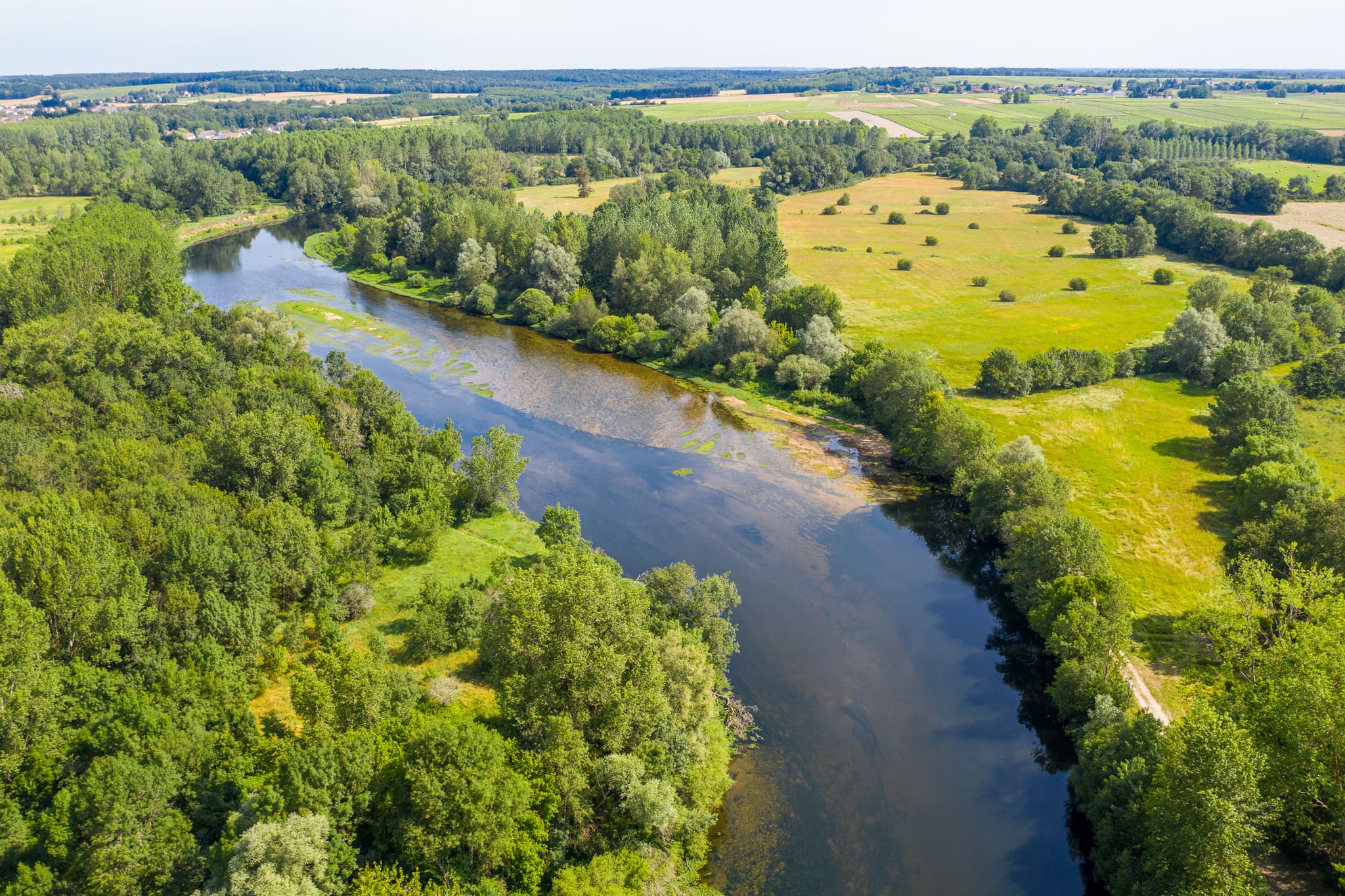 ENS-Prairies-Fouzon-24062019-40