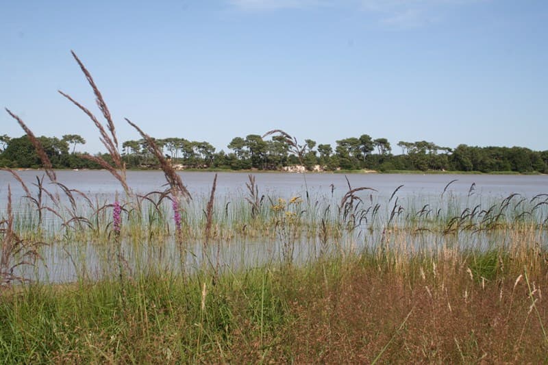 Site naturel de l'étang de Bellebouche