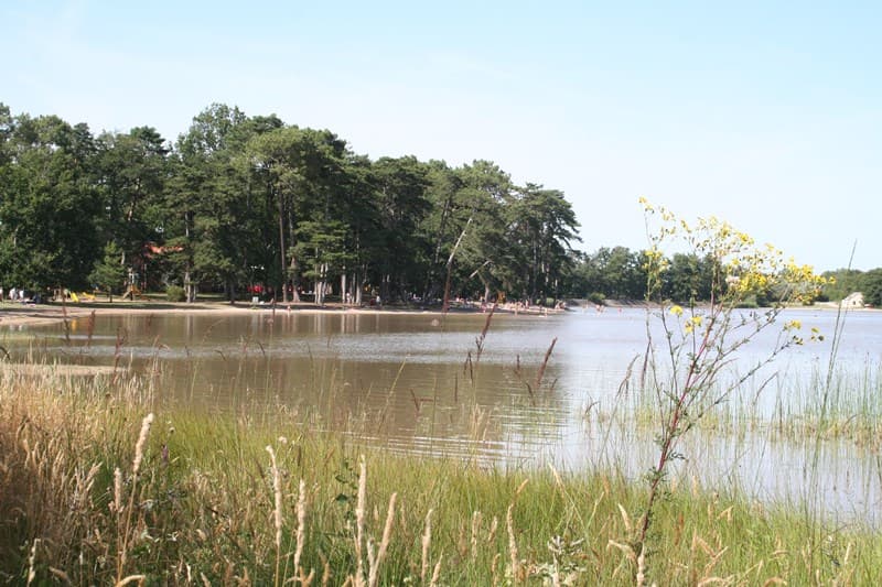 Site naturel de l'étang de Bellebouche