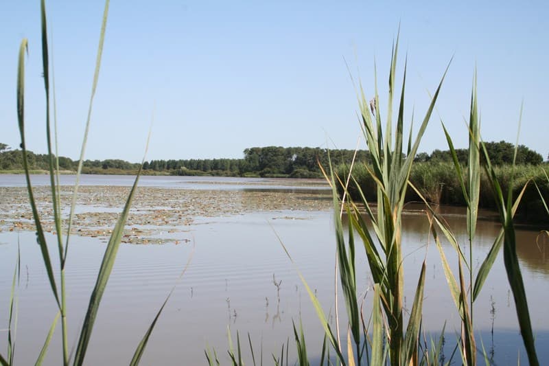 Site naturel de l'étang de Bellebouche