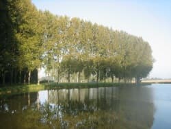 Adon - Etang communal -
