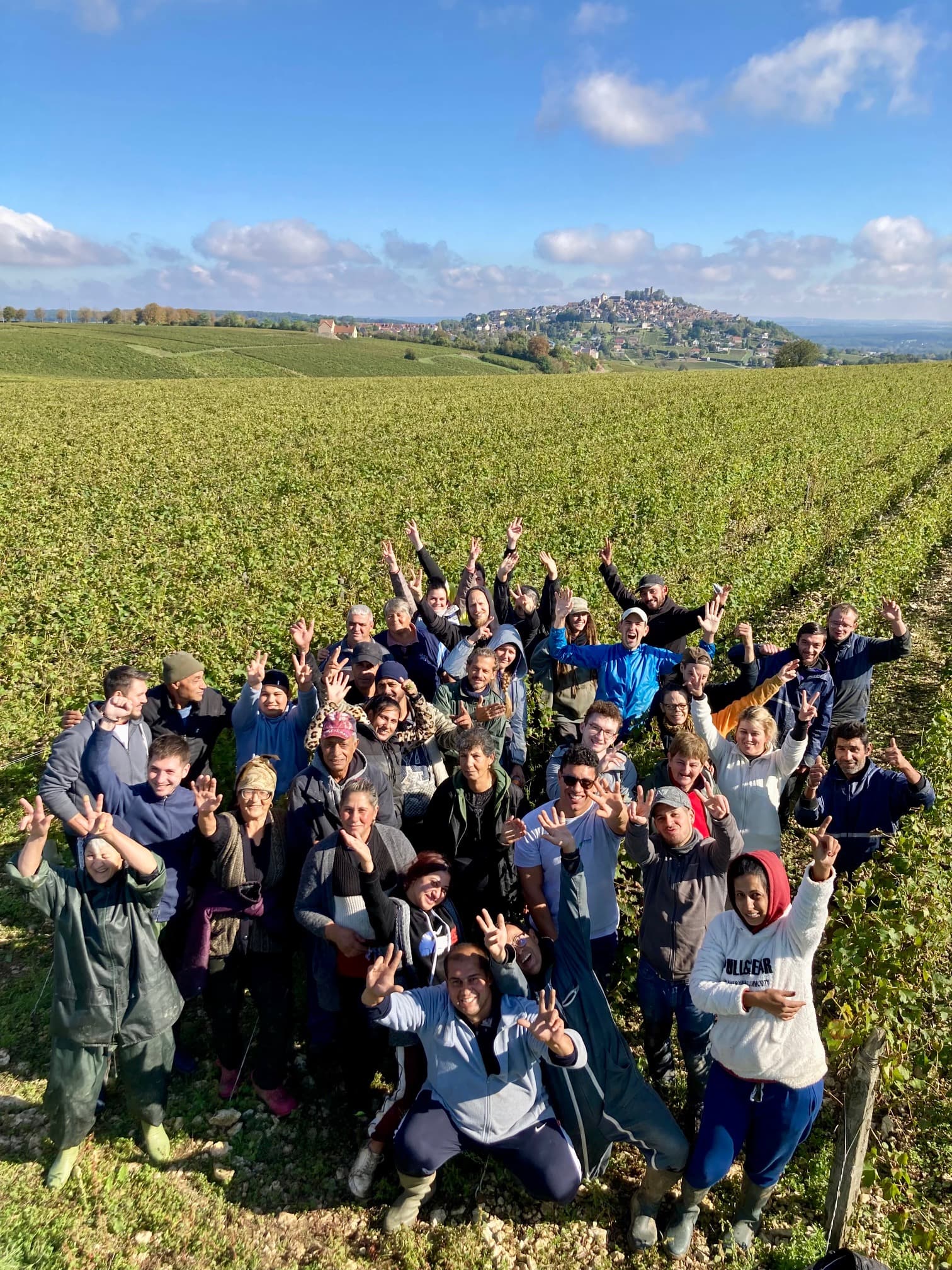 Equipe vendangeurs 2024