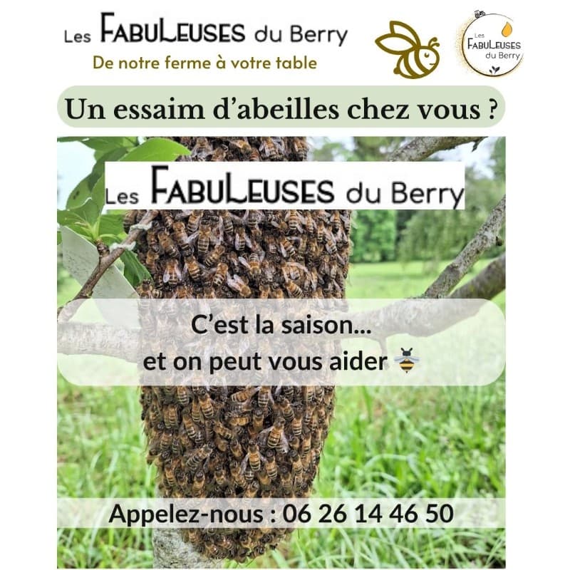 Essaim d'abeilles