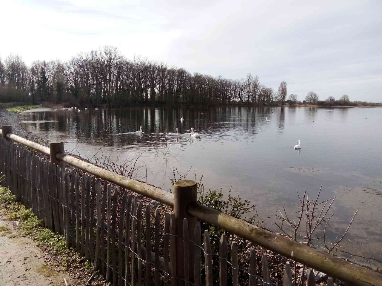 Etang Assay