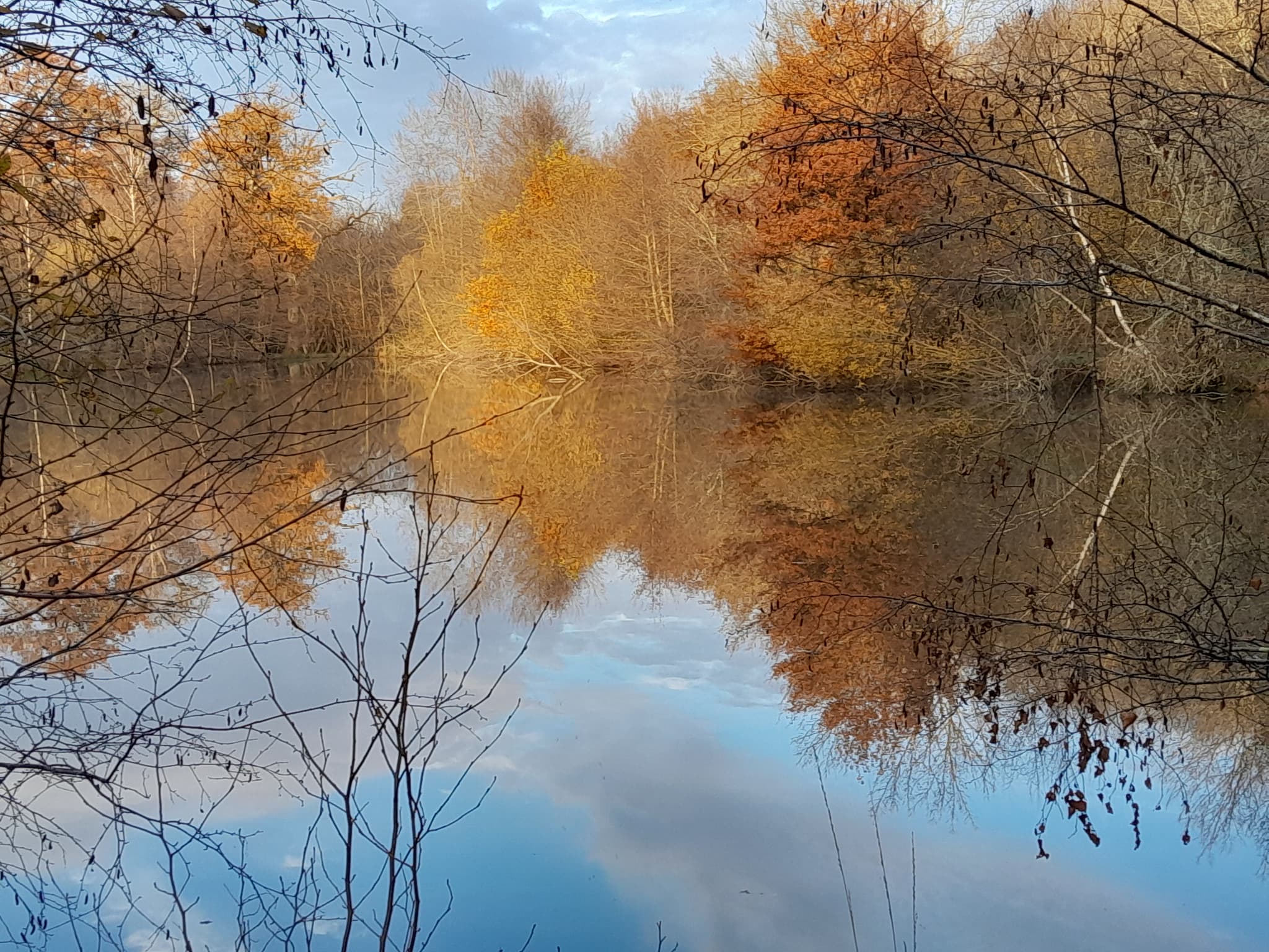 Etang a l'automne