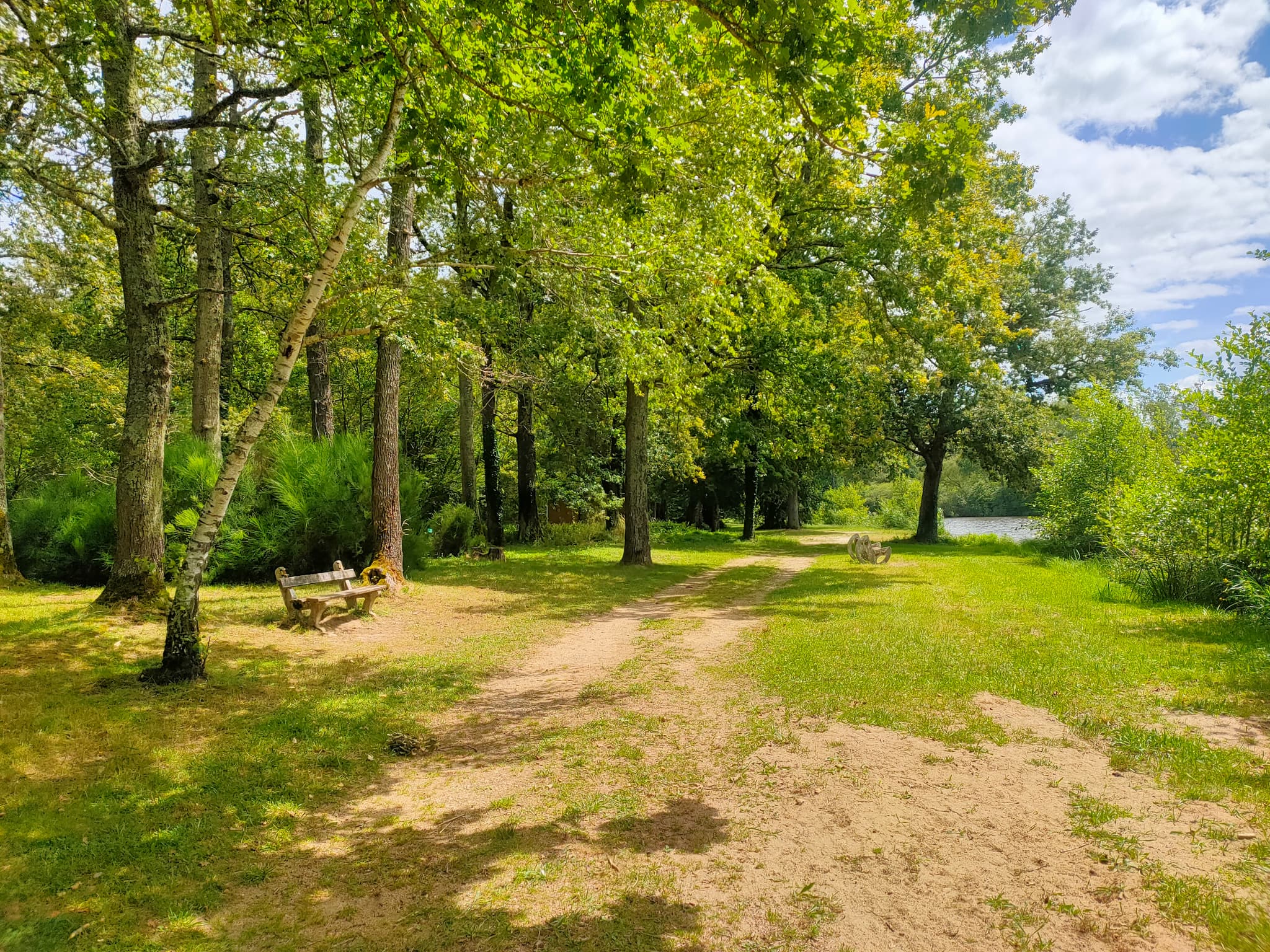 Etang de Robinson