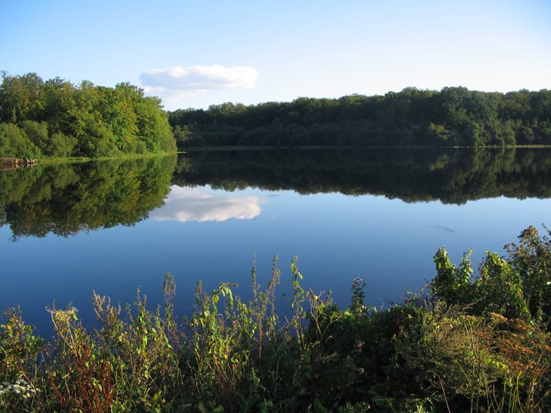 Etang de la Benette