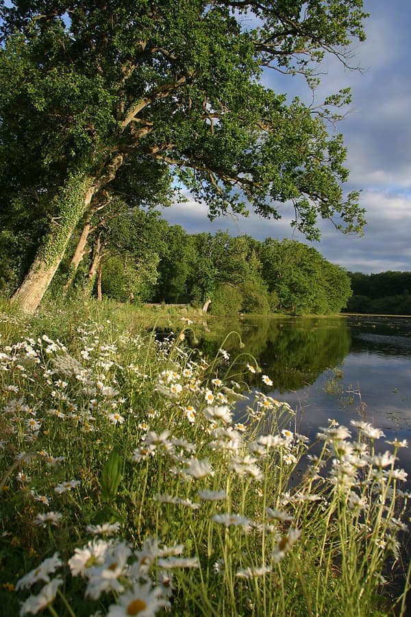 Etang de la Benette