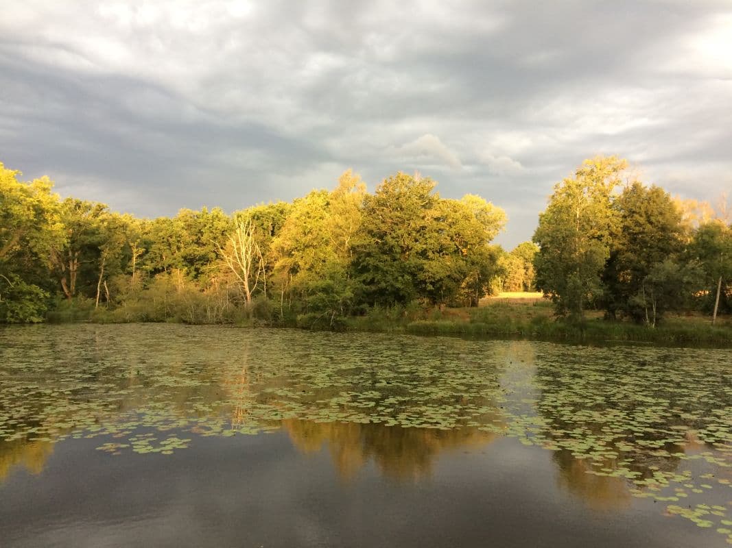 Etang des Lierres Sologne