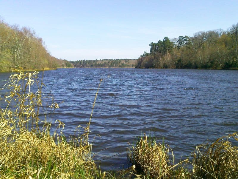 Etang du Ravoir