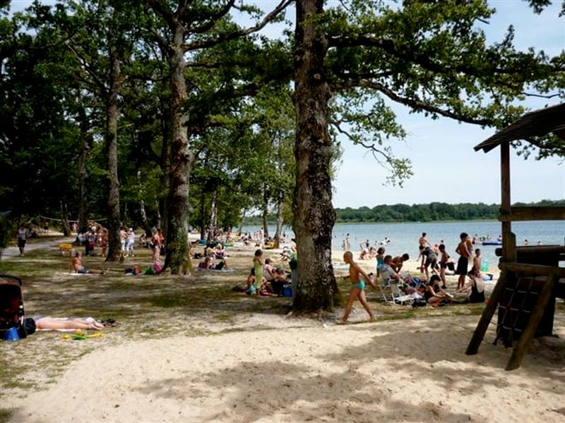 Etang du puits plage