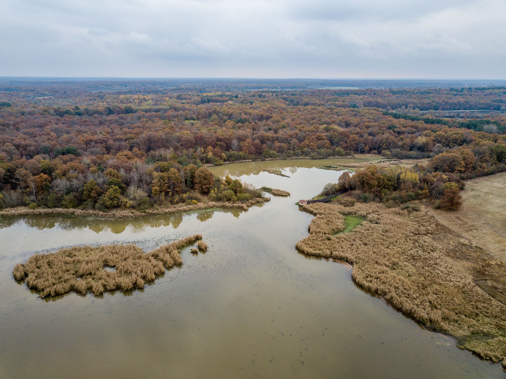 Etang-de-Malzoné