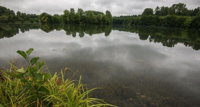Etangs Amilly