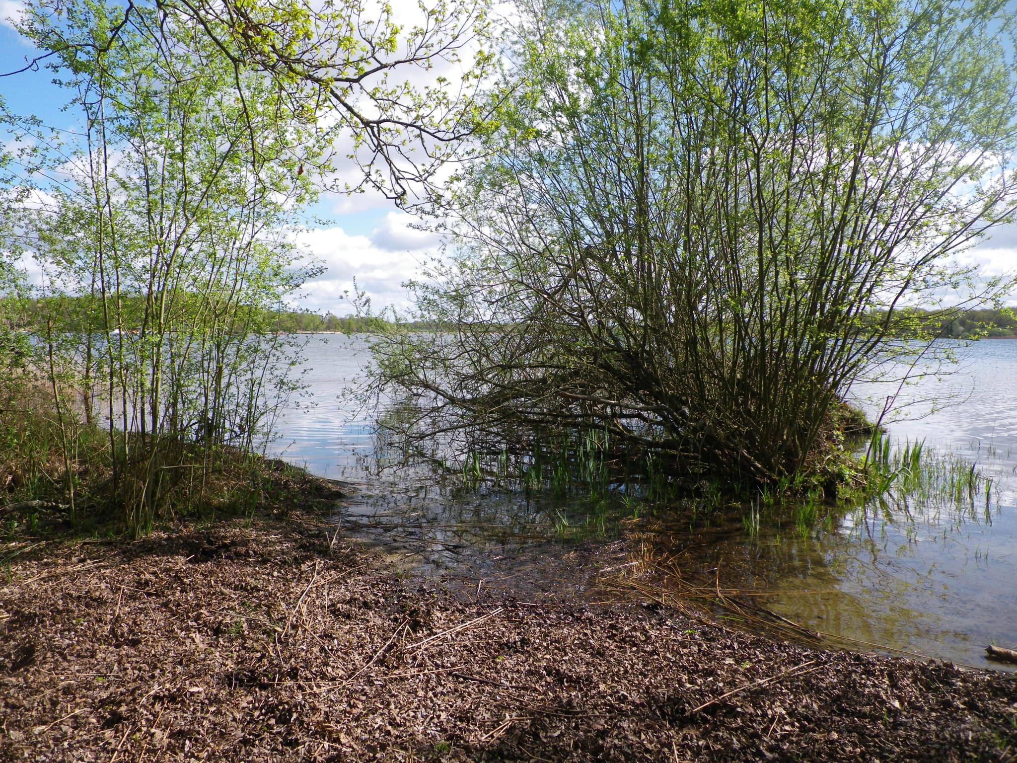 Etangs du Puits _ Cerdon