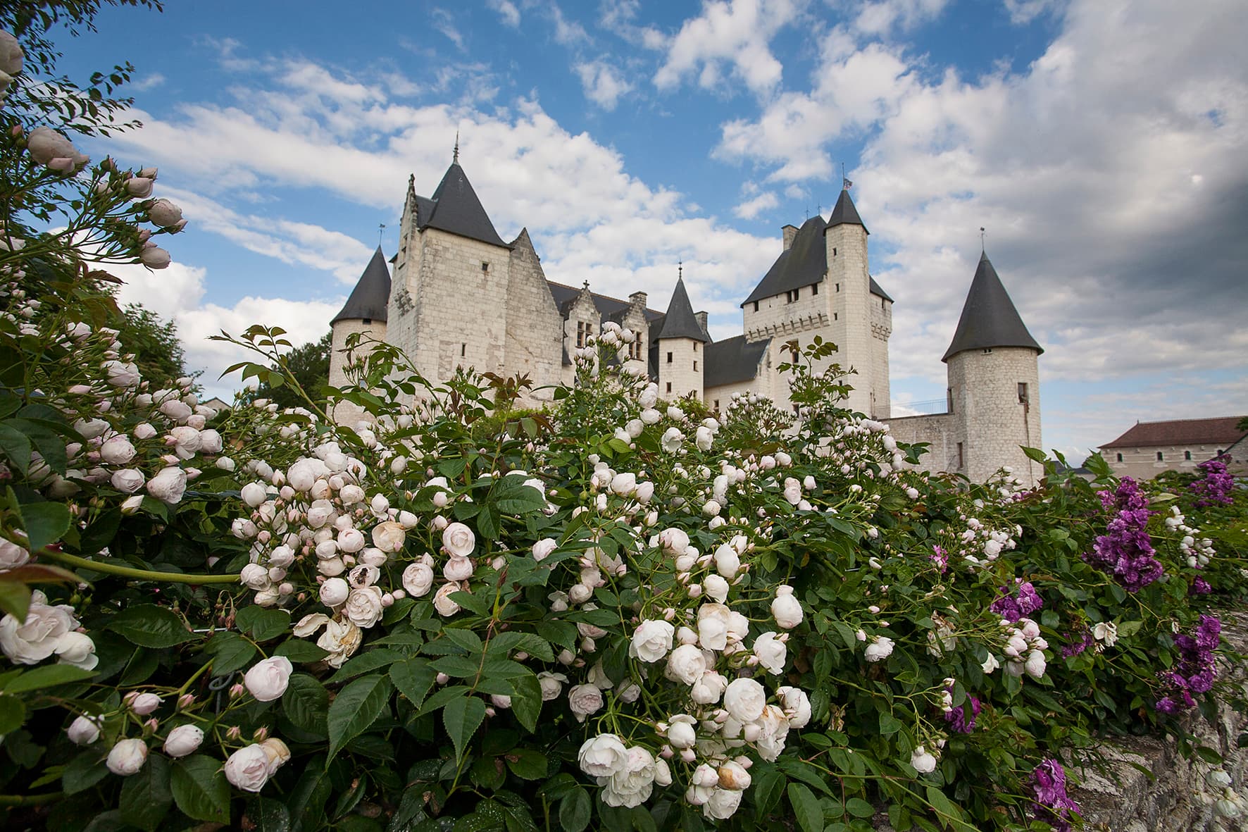 Ethel MG_0043©ChateauduRivau