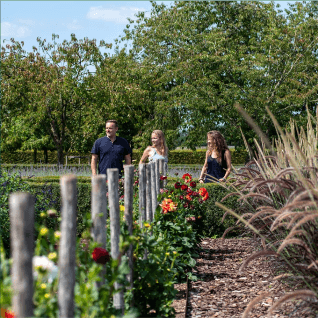 Explorons le jardin de Talcy