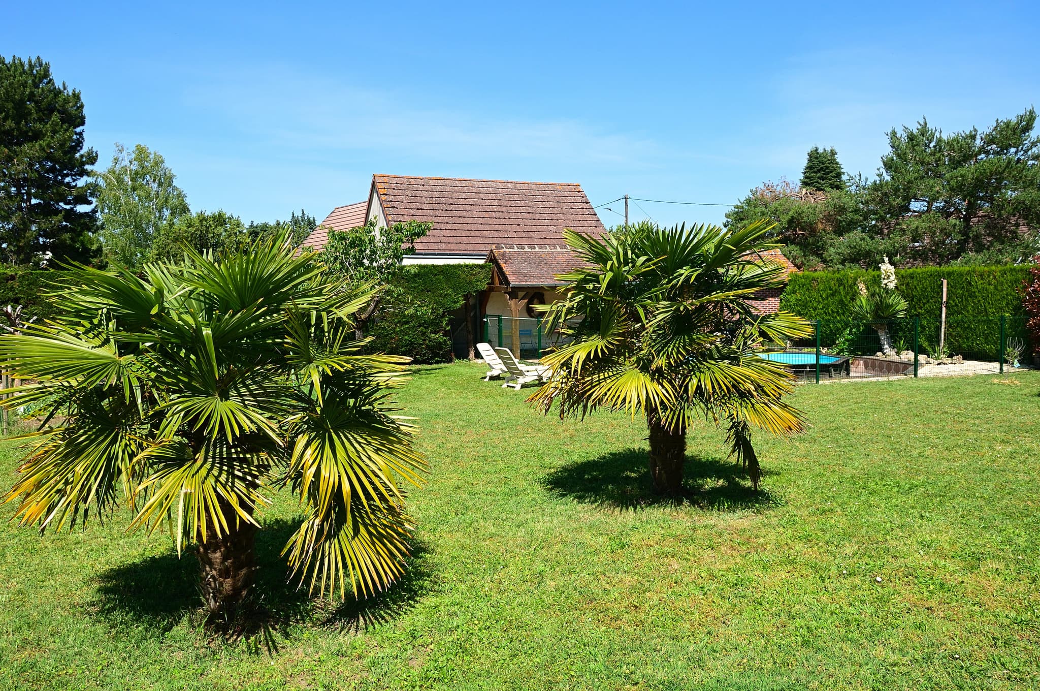 Extérieur palmiers