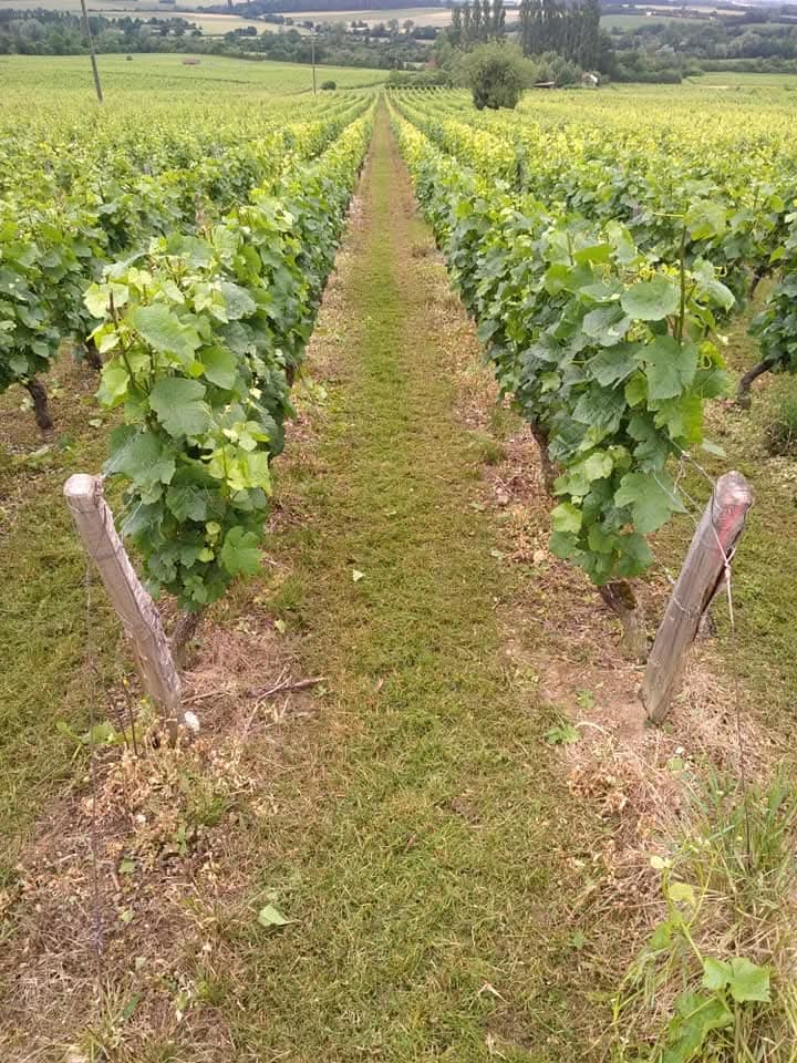 Domaine de Jean-François Jouanin