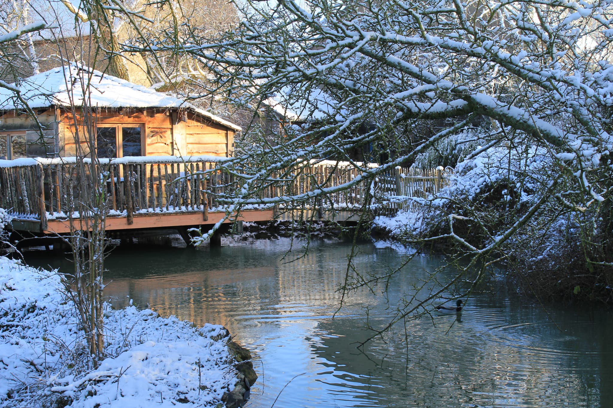 Family-Ecolodge_27