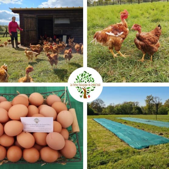 Ferme bio Grand Bois
