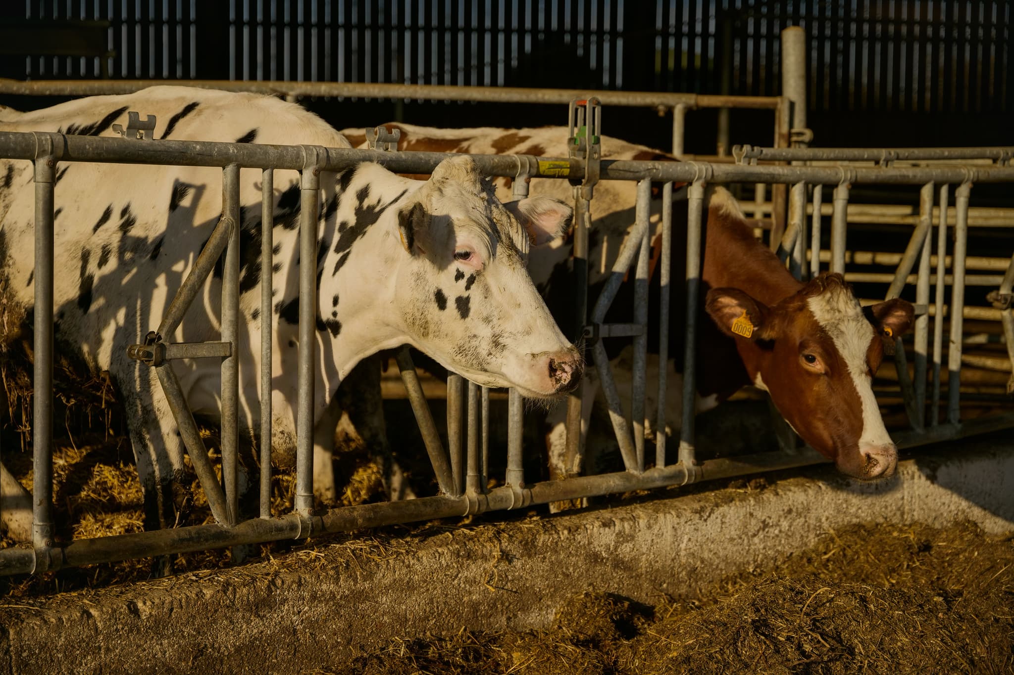 Ferme de Valentin (1)