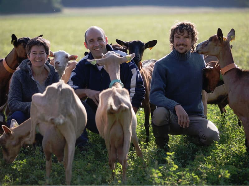 Ferme des cabrioles
