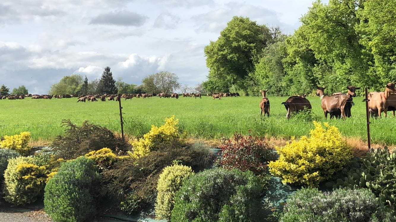 Ferme du Feulard