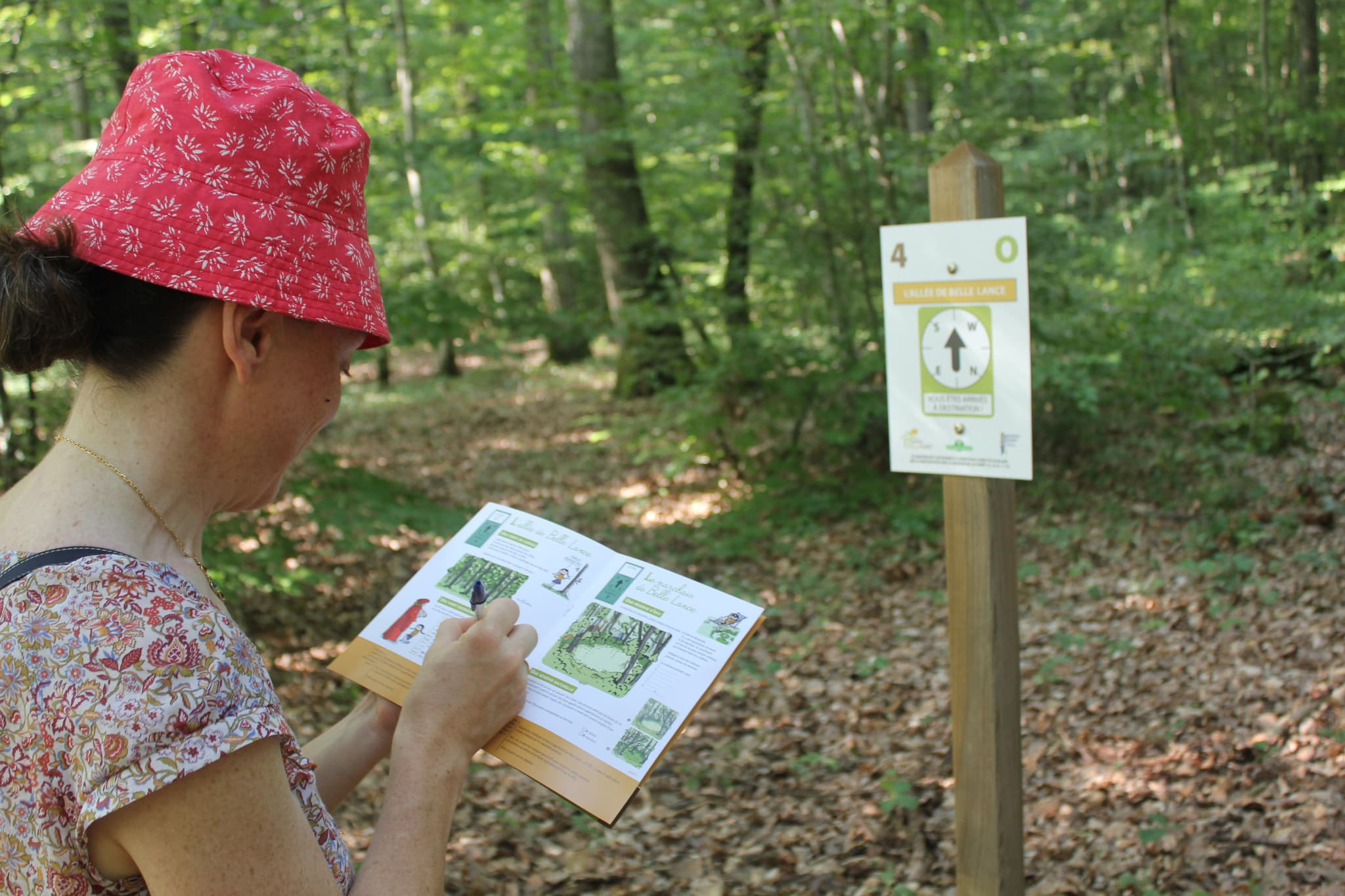 Forêt Mgis 2