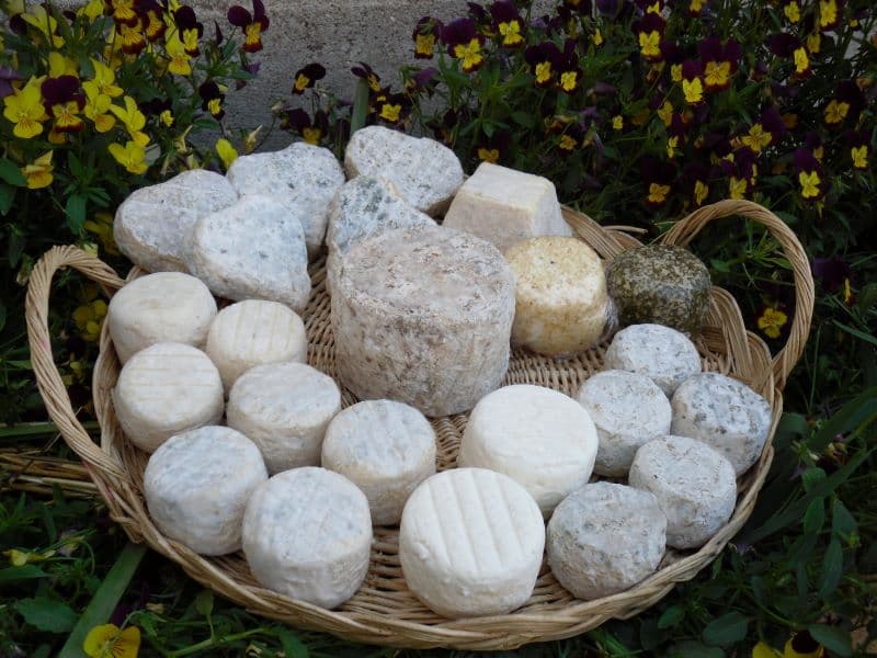 Fromages de chevre Gallands