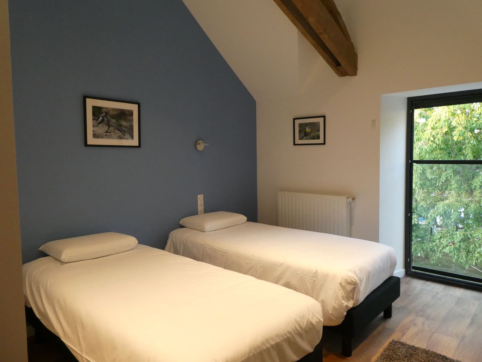 Gîte Cèdre et Charme - Chambre bleue 1