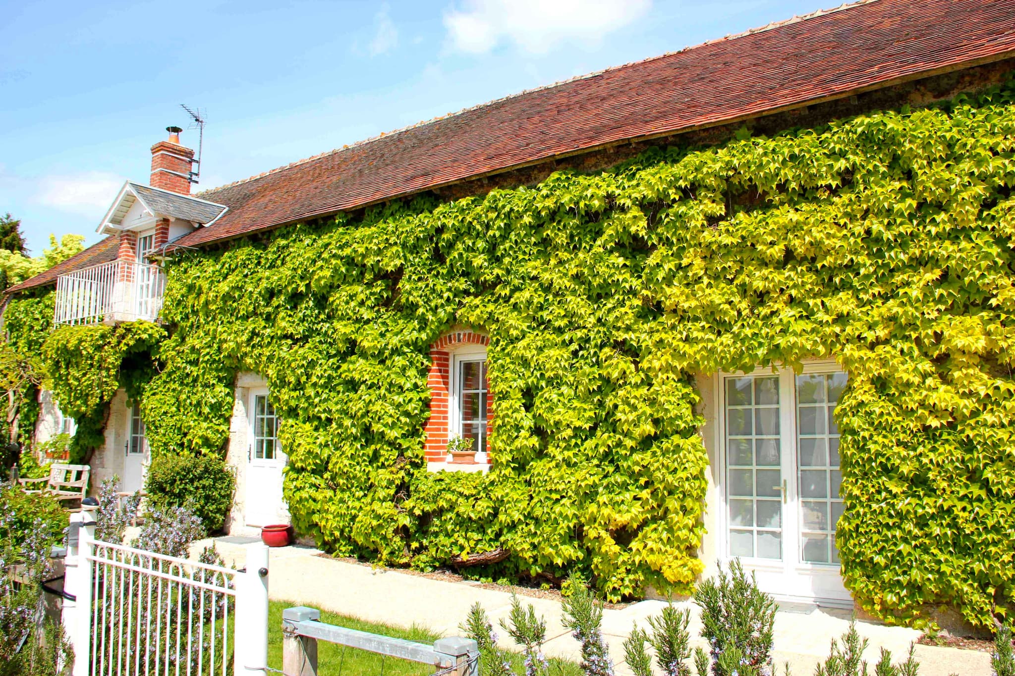 Gite Hortensias