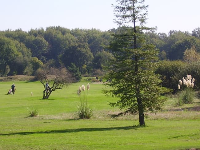 Golfpicardiere