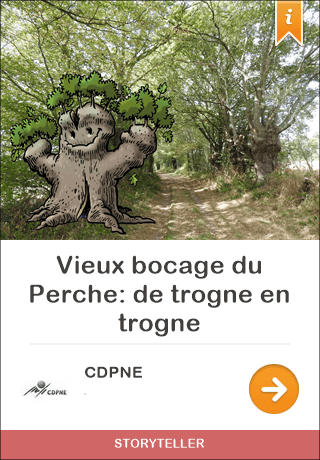 GuidiGO Le Temple