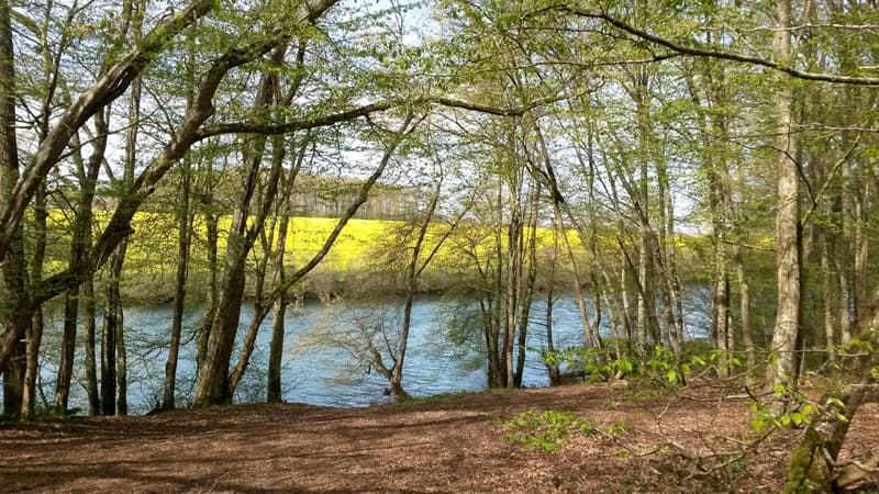balade à Dampierre sur Blévy