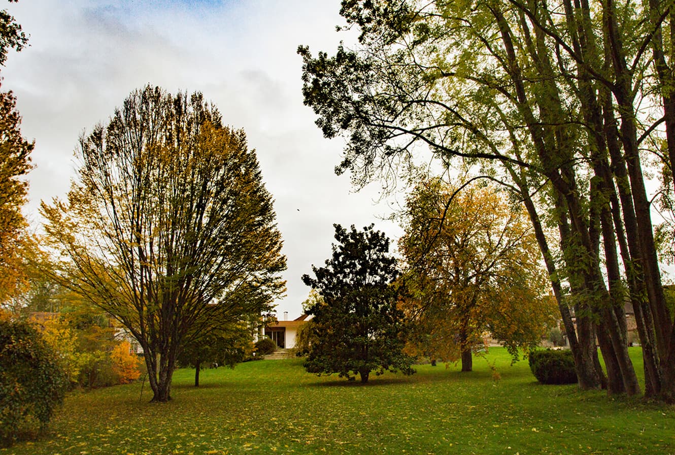 Clos Flora - Maison Glycine - Jardin