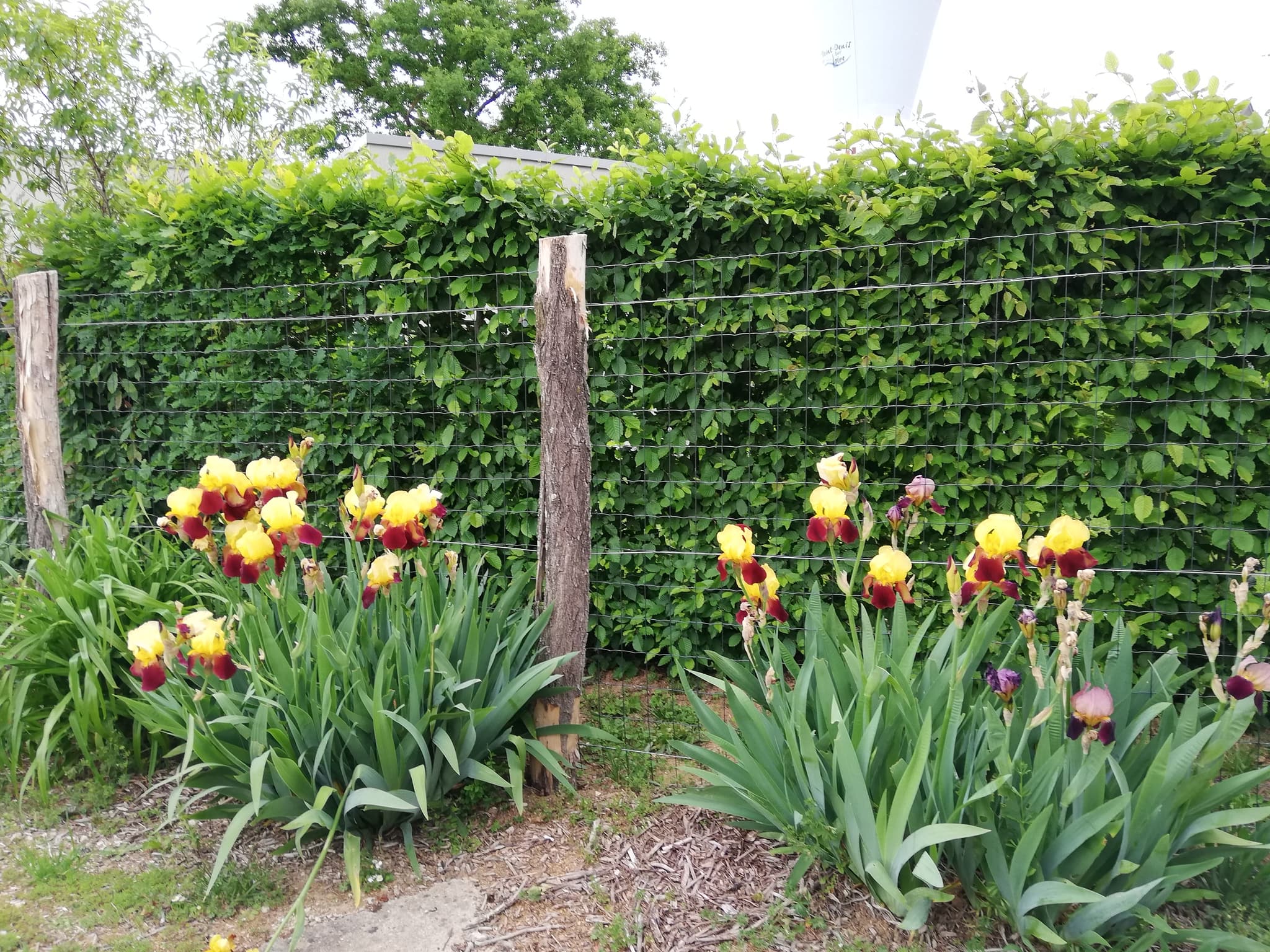Harmonies parking fleuri