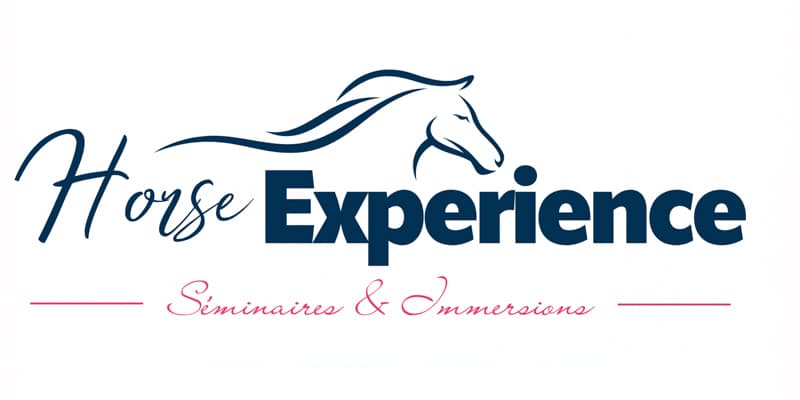 Horse Experience