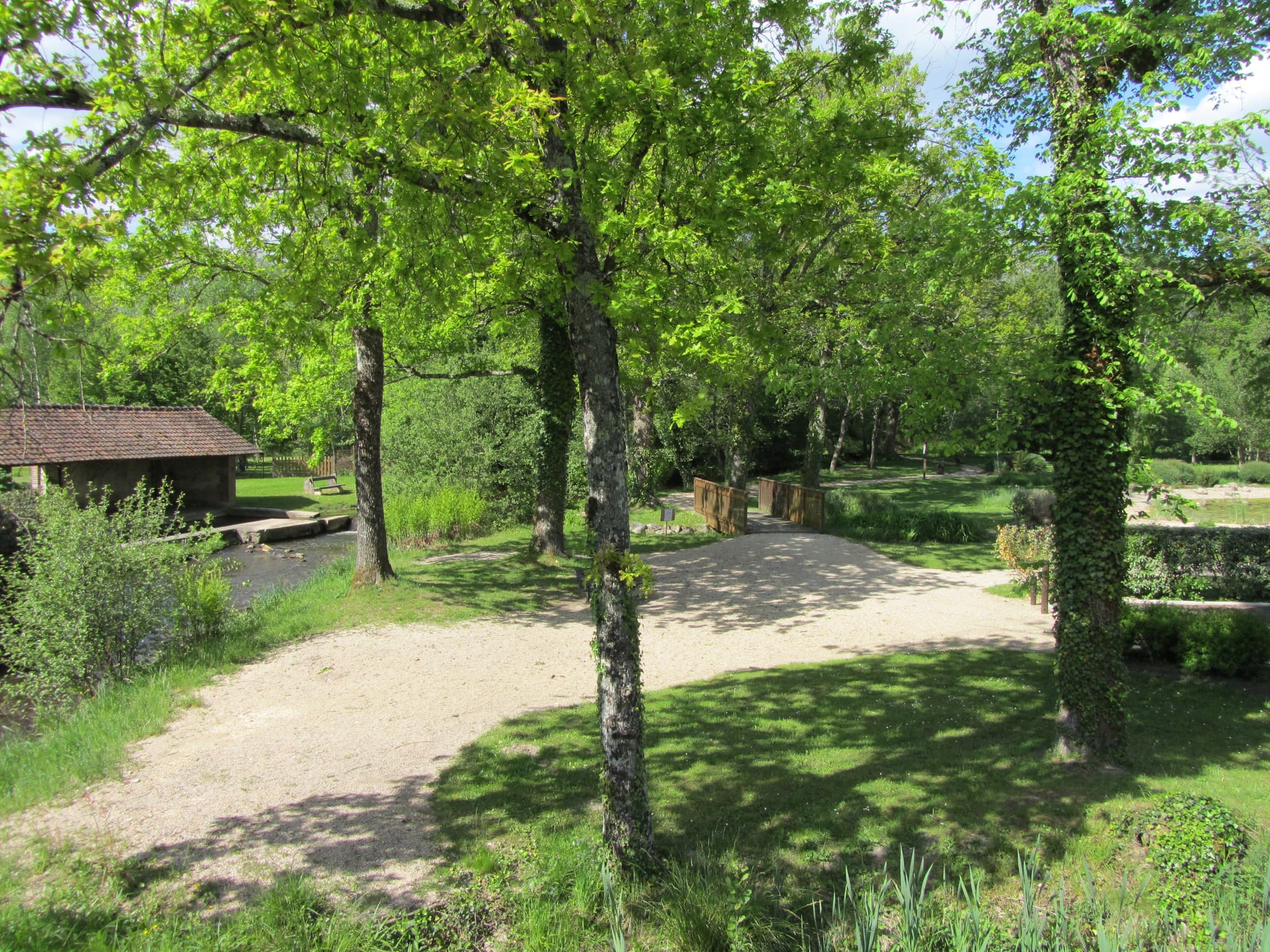 IMG-0077