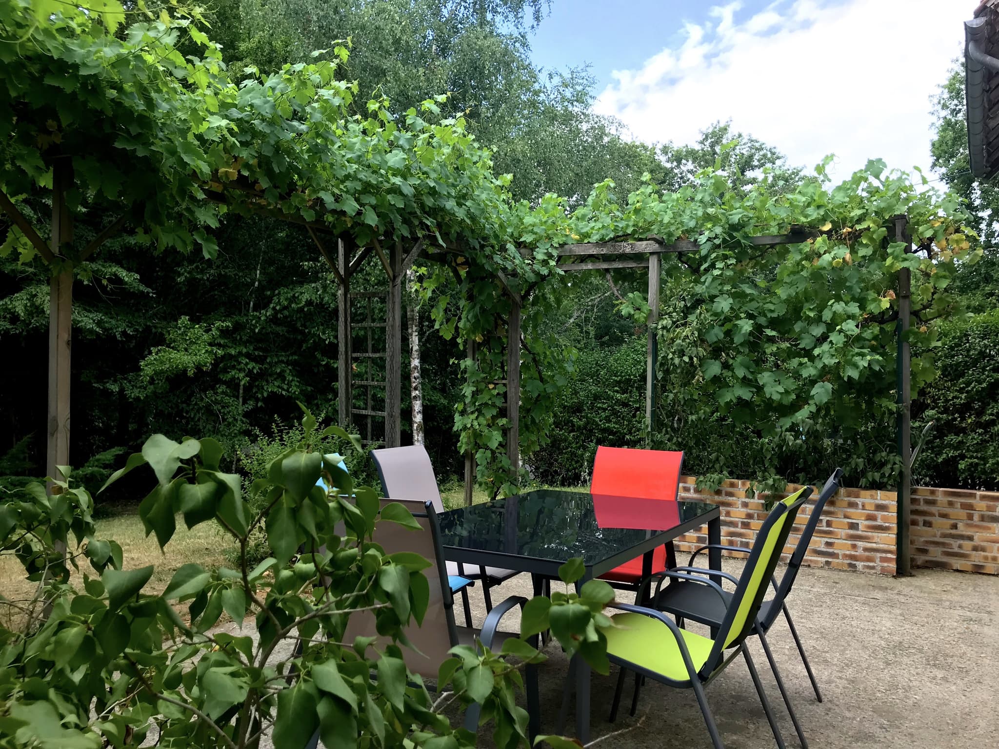 St Firmin sur Loire-Gite l'étang Chapelle- terrasse