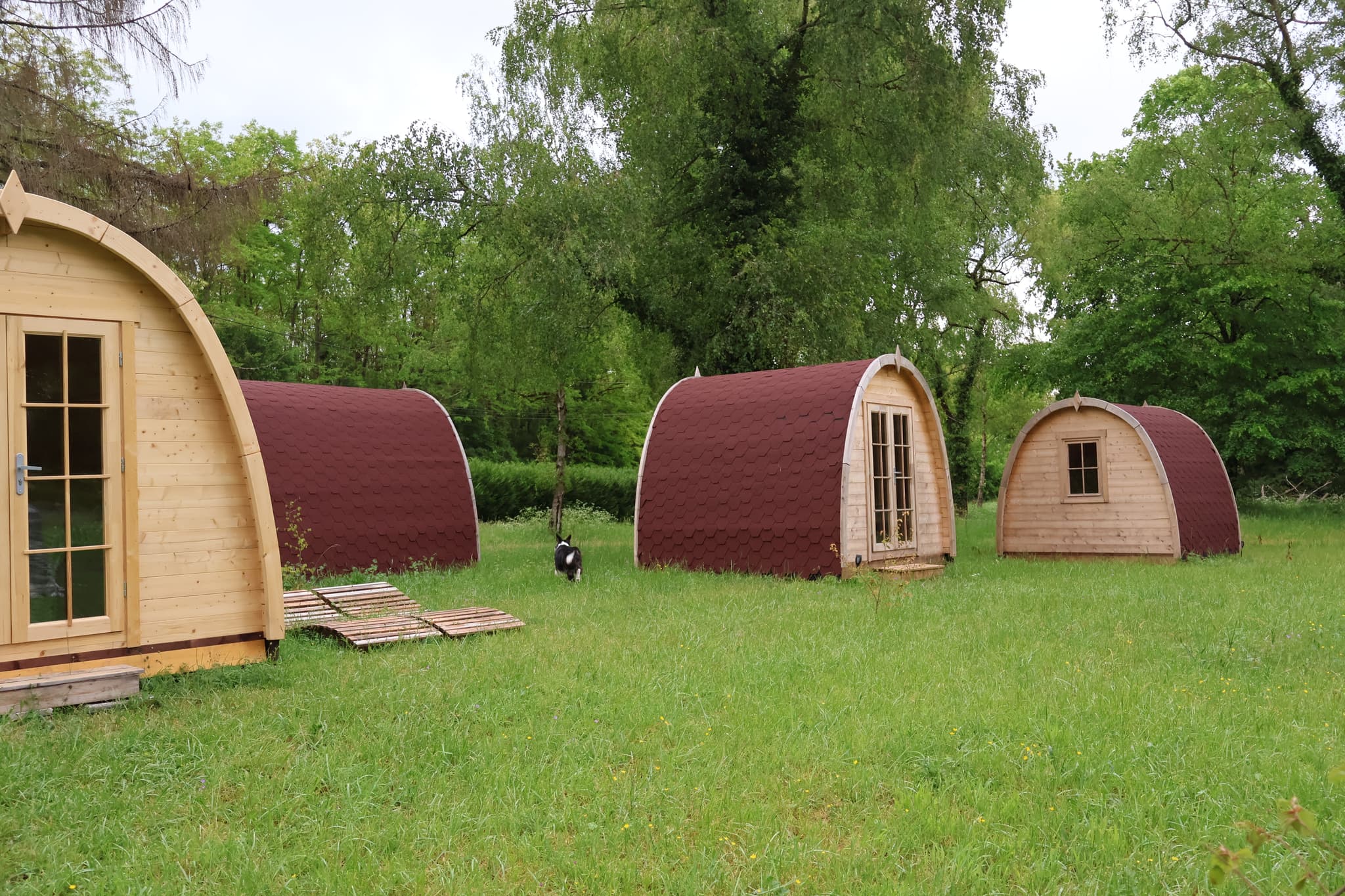 Pod Bois des Elfes
