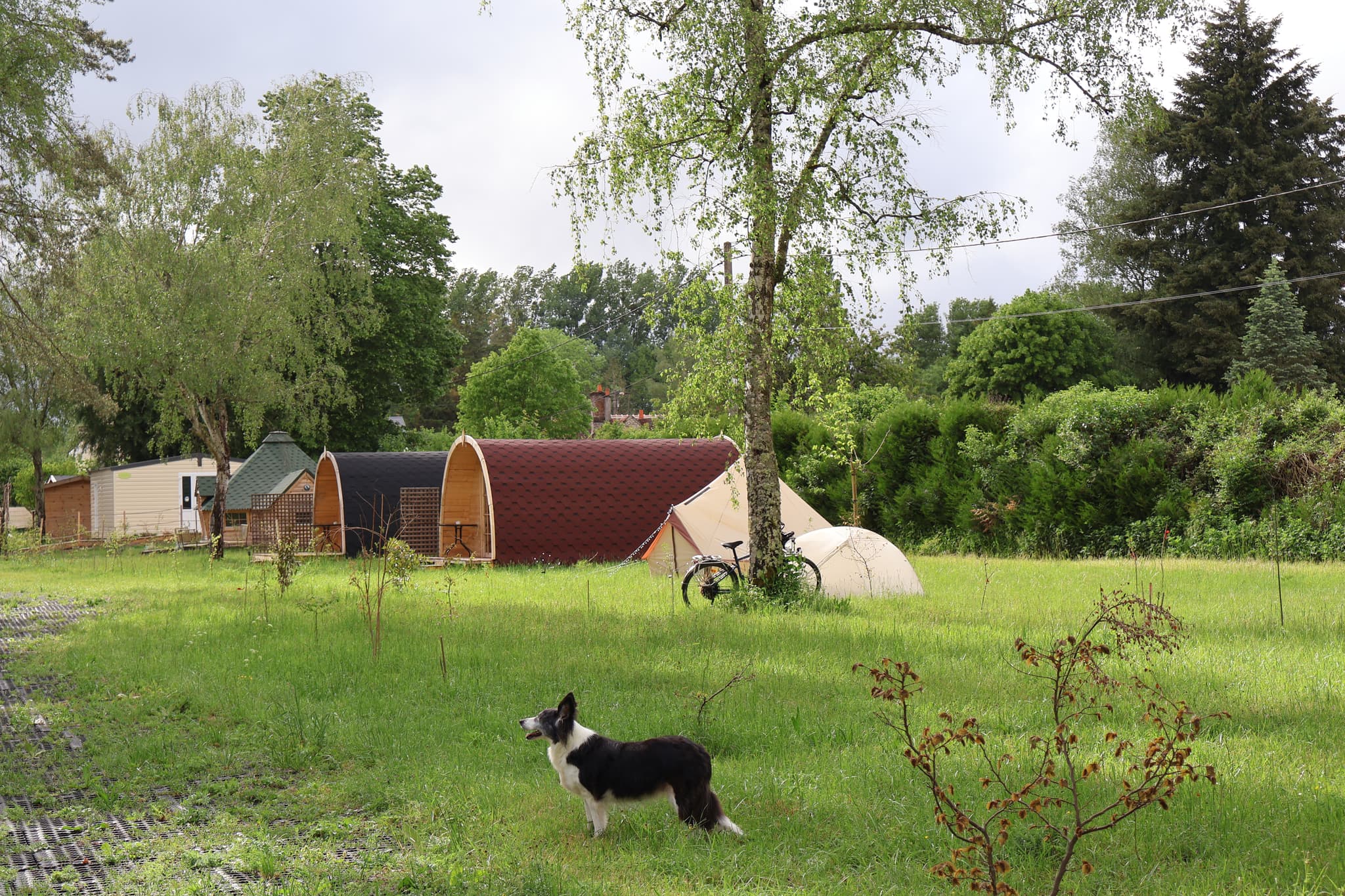 Camping Bois des Elfes