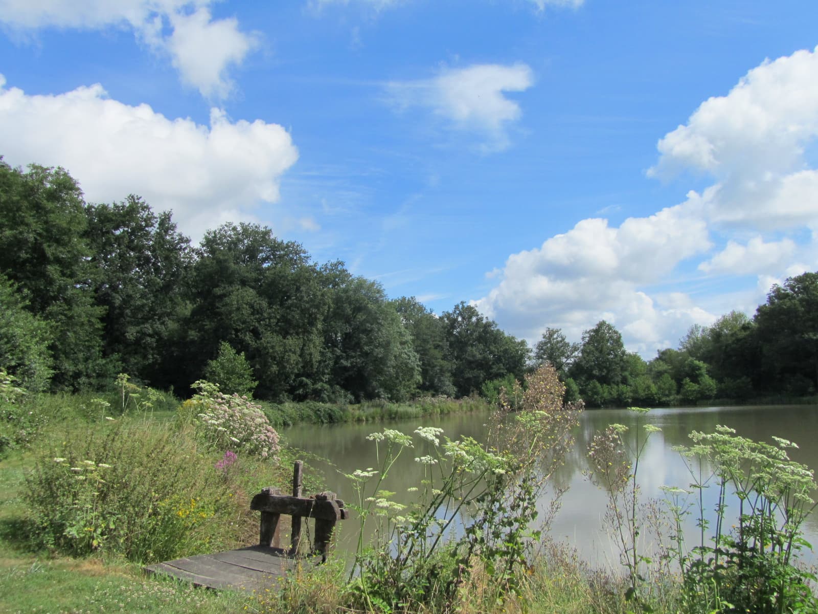 Etang