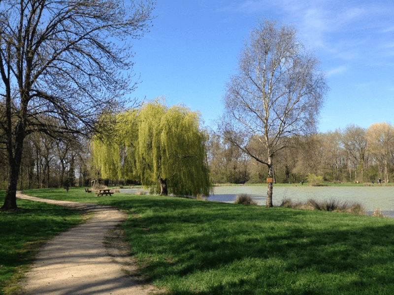 Etang communal